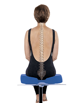 Cushions & Supports